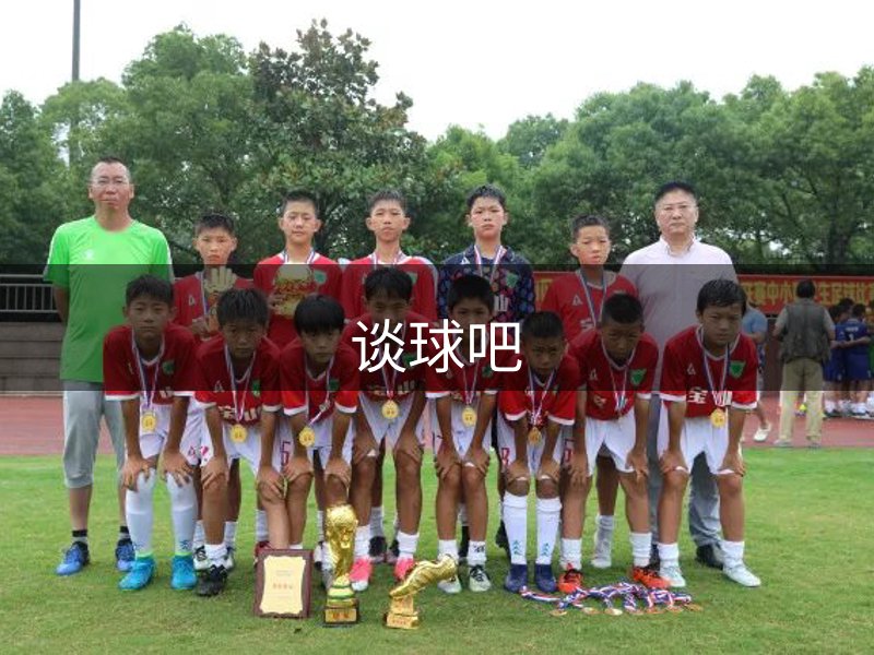 谈球吧简介